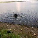 ���� �������, ������, 56 ��� - ��������� 24 �������� 2015