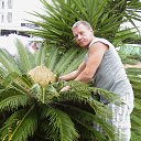 ���� ���������, ������� - ��������� 24 ������� 2015 � ������ ���� ����������