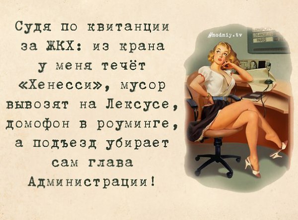   |  |  - 28  2015  14:55