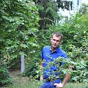 ���� ������, ������, 38 ��� - ��������� 1 ���� 2015 � ������ ���� ����������