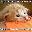 ���� ����� _118, ������������, 46 ��� - ��������� 18 �������� 2015 � ������ ���� ����������