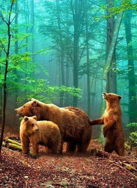 |В| Счастье есть... |В| - 7 мая 2015 в 17:53 - 3