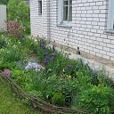 ���� ������, �����, 44 ���� - ��������� 30 ���� 2015 � ������ �2015 �.�