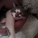 ���� �������, �����-���������, 40 ��� - ��������� 25 ��� 2015 � ������ ���� ����������