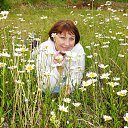 ���� ������, ����-���, 62 ���� - ��������� 30 ���� 2015 � ������ ���� ����������