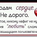 ���� ����, ������, 45 ��� - ��������� 8 ���� 2015 � ������ ������ ��������