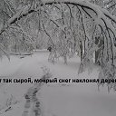 ���� �����, �������������, 80 ��� - ��������� 20 ������� 2015 � ������ �������� ����