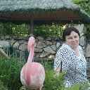 ���� �����, ������, 65 ��� - ��������� 9 ���� 2015 � ������ ���� ����������