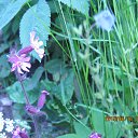 ���� ���������, �����������, 69 ��� - ��������� 20 ���� 2015 � ������ ����������� ����.������� ���.������������ �����, ��������������� ���.���� 2015�