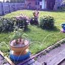 ���� Viktor, ����������, 63 ���� - ��������� 14 �������� 2015 � ������ ���� ����������