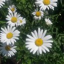 ���� �����, ������ - ��������� 19 ���� 2015 � ������ �����, �� ����...�