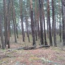 ���� �������, ���������, 54 ���� - ��������� 23 ��� 2015 � ������ ���������