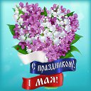 ���� �������(�� ������� ������), ������-��� - ��������� 1 ��� 2015 � ������ �������� ��������