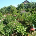 ���� ���������, ������, 55 ��� - ��������� 15 ���� 2015 � ������ ���� ����� .�