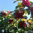 �� ������, �� ������... �� ������� ���� ����������