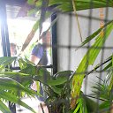    -  ,  -  4  2015    2014.  .  3-.