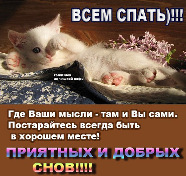������ - 12 ������� 2015 � 21:28