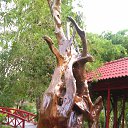 ���� �������, ����������� - ��������� 11 ���� 2015 � ������ ��������