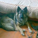 ���� Vit, ������ - ��������� 26 ���� 2015 � ������ ���� ����������