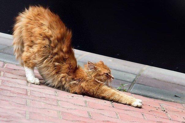 ...�������� ���� ������� ���� :) - 5