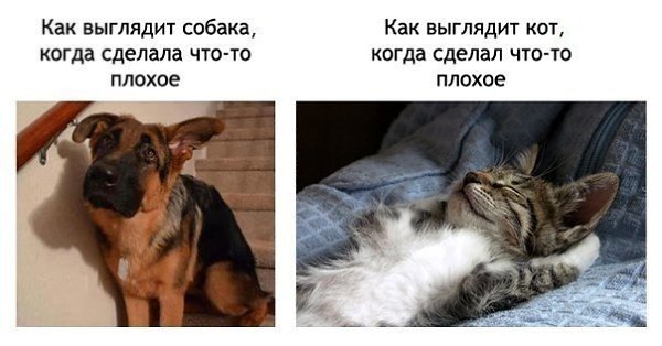      - 5  2015  04:31