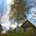 ���� ���������, ������, 55 ��� - ��������� 15 ���� 2015 � ������ ������ ��������