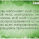 ���� ���, ������� - ��������� 11 ���� 2015 � ������ �����������