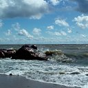 ���� ��������� ����������, �����, 59 ��� - ��������� 4 ������� 2015 � ������ ���� ����������