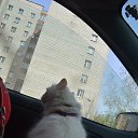 ���� ������, ����������� - ��������� 15 ��� 2015 � ������ ������