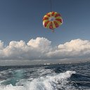 ���� �������, ����-���������, 39 ��� - ��������� 1 �������� 2015 � ������ ���� ����������