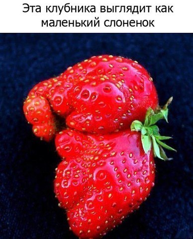 ����o �o������ ������� ����� ����O � ���O... � ����, ��� ��� ����o, ������ �� �o���� - �� ����a ��� ... - 2