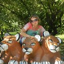 ���� ****����, ������ ����� - ��������� 14 ���� 2015