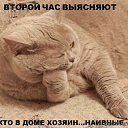 ���� ��������, ������ ��������, 55 ��� - ��������� 25 ������ 2015 � ������ ������ ��������