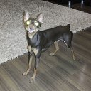 ���� �������, ��������� - ��������� 8 ������� 2015 � ������ ���� ����������