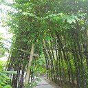    -  ,  -  23  2015    2014.  Peace.  11-.