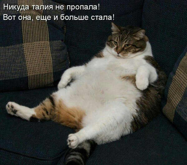  , !!!