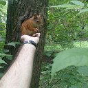 ���� ����� ����������, ������, 39 ��� - ��������� 6 ���� 2015 � ������ ������ ��������