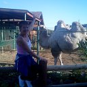 ���� �����, ���� - ��������� 9 �������� 2015 � ������ ���� ����������