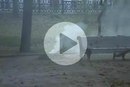 ���� Sall ������*�f (��������), ������, 39 ��� - ��������� 30 ������ 2015 � ������ ������, ������