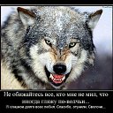 ���� ������, ��������������, 54 ���� - ��������� 21 ������� 2015 � ������ ������ ��������