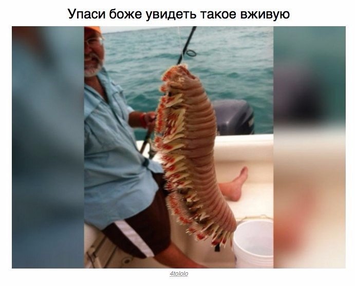 ,      ... - 5