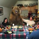 ���� ���, ��������� - ��������� 29 ������� 2015