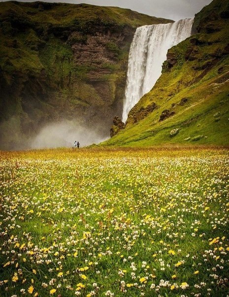 — А вы сегодня были счастливы? — Еще нет. — Тогда поторопитесь. Этот день заканчивается! - 6