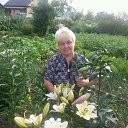 ���� ����, �������, 64 ���� - ��������� 23 ������� 2015 � ������ ���� ����������