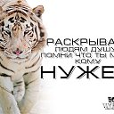 ���� �, �����-���������, 54 ���� - ��������� 28 ������ 2015 � ������ ������ ��������