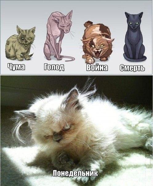    :D - 30  2015  12:09