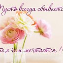 ���� Amira, �������������� - ��������� 15 ������� 2015 � ������ �������