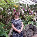 ���� ����, ���� - ��������� 6 ������� 2015