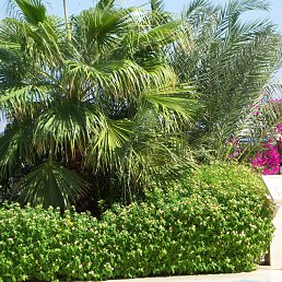 ���� ����� ������, �������, 45 ��� - ��������� 7 ������� 2015