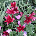  , - -  20  2015    .